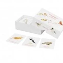 Christine Berrie Vogels – Een Memospel