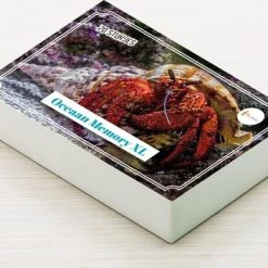 Huurdies Cadeautip! Oceaan Memory - Oceaan - Memory Spel - 70 Stuks - Schoencadeautjes Sinterklaas 6 Huurdies Cadeautip! Oceaan Memory - Oceaan - Memory Spel - 70 Stuks - Schoencadeautjes Sinterklaas -spellen-voor-volwassenen Verkoopwinkel 550x353 2