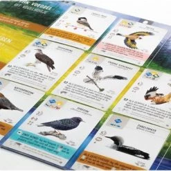 Merkloos Spellenbundel - 3 Stuks - Wingspan & Uitbreidingen Oceani & Europa 17 Merkloos Spellenbundel - 3 Stuks - Wingspan & Uitbreidingen Oceani & Europa -spellen-voor-volwassenen Verkoopwinkel 550x366 29