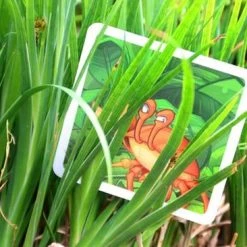 White Goblin Games Memoryspel Memoarrr! -spellen-voor-volwassenen Verkoopwinkel 550x366 83