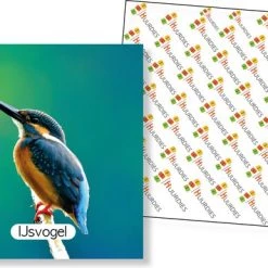 Huurdies Cadeautip! Vogel Memory - Educatief Memoryspel - Vogel Memory Spel - 70 Stuks - Schoencadeautjes Sinterklaas -spellen-voor-volwassenen Verkoopwinkel 550x386 3