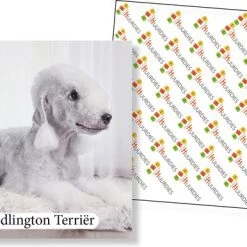 Huurdies Cadeautip! - Honden Memory - Hondenrassen - Honden Memory Spel - Educatief Memoryspel - 70 Stuks - Schoencadeautjes Sinterklaas -spellen-voor-volwassenen Verkoopwinkel 550x386 5