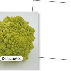 Huurdies Cadeautip! Groenten Memory - Educatief Memoryspel - Groentes Memory Spel - 70 Stuks - Schoencadeautjes Sinterklaas -spellen-voor-volwassenen Verkoopwinkel 550x386 9