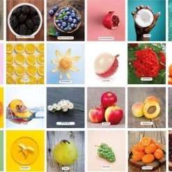 Huurdies Cadeautip! Fruit Memory - Educatief Memory Spel - Memory Spel - Fruitsoorten Met Bijhorende Benamingen - 70 Stuks - Schoencadeautjes Sinterklaas