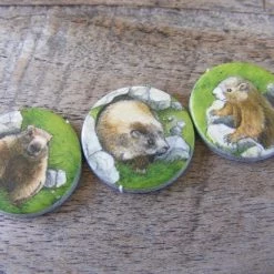 White Goblin Games Gezelschapsspel Spring Meadow -spellen-voor-volwassenen Verkoopwinkel 550x412 22