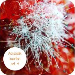Liefsoppapier.nl Associatiekaarten Set 4 - Coachtools - Coachkaarten - Werkvormen - Liefsoppapier -spellen-voor-volwassenen Verkoopwinkel 550x550 148