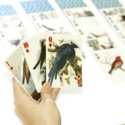 Kikkerland 3D Speelkaarten - Vogels - Kaartspel - Pokerformaat - Vogelplaatjes - Gezelschapsspel - Geschikt Voor Poker, Patience, Bridge, Blackjack, Pesten -spellen-voor-volwassenen Verkoopwinkel 550x550 234