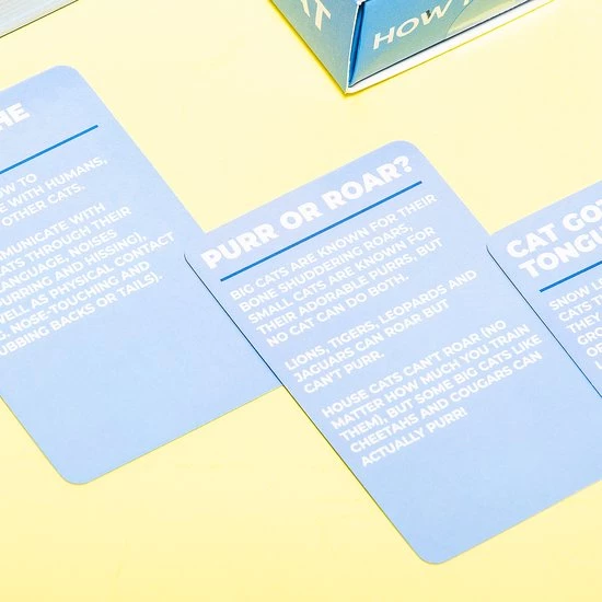 Gift Republic How To Speak Kaarten - Kat 2 Gift Republic How To Speak Kaarten - Kat - Afbeelding 2